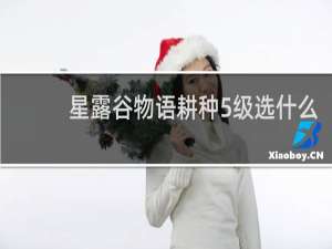 星露谷物语耕种5级选什么