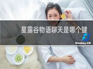 星露谷物语聊天是哪个键