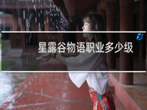 星露谷物语职业多少级