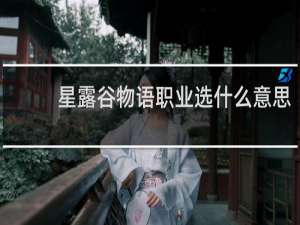 星露谷物语职业选什么意思