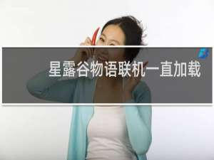 星露谷物语联机一直加载