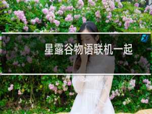 星露谷物语联机一起