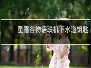 星露谷物语联机下水道钥匙