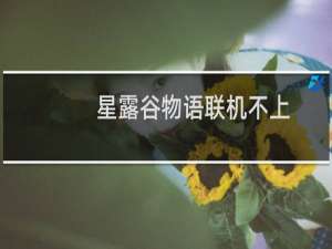 星露谷物语联机不上