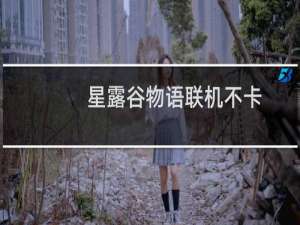 星露谷物语联机不卡