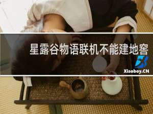 星露谷物语联机不能建地窖