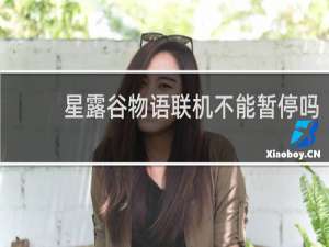 星露谷物语联机不能暂停吗