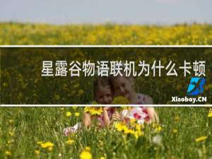 星露谷物语联机为什么卡顿