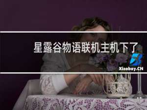 星露谷物语联机主机下了