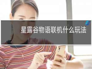 星露谷物语联机什么玩法