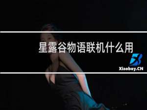 星露谷物语联机什么用