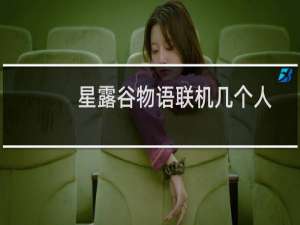 星露谷物语联机几个人