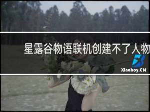 星露谷物语联机创建不了人物
