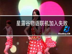 星露谷物语联机加入失败