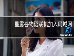 星露谷物语联机加入局域网