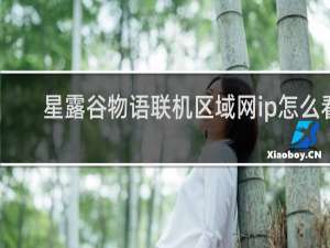 星露谷物语联机区域网ip怎么看