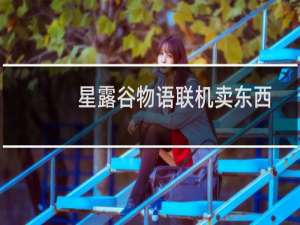 星露谷物语联机卖东西