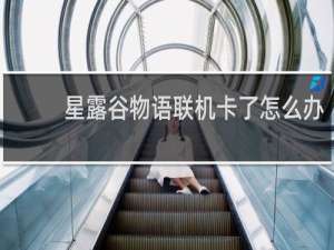 星露谷物语联机卡了怎么办