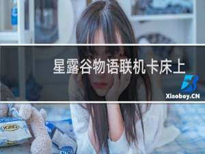 星露谷物语联机卡床上
