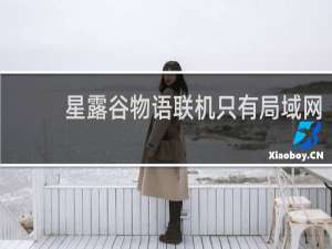 星露谷物语联机只有局域网