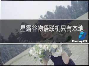 星露谷物语联机只有本地