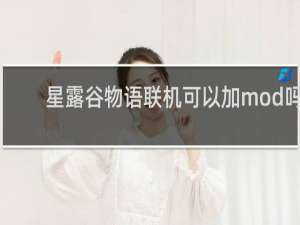 星露谷物语联机可以加mod吗
