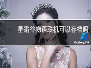 星露谷物语联机可以存档吗