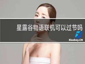 星露谷物语联机可以过节吗