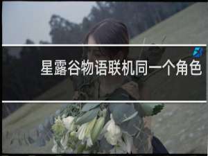 星露谷物语联机同一个角色