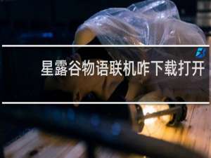星露谷物语联机咋下载打开