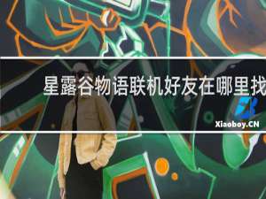 星露谷物语联机好友在哪里找