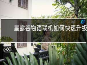 星露谷物语联机如何快速升级