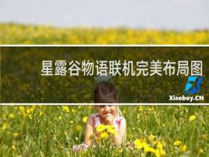 星露谷物语联机完美布局图