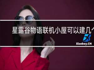 星露谷物语联机小屋可以建几个