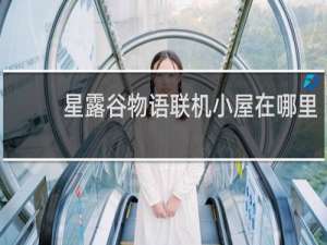 星露谷物语联机小屋在哪里