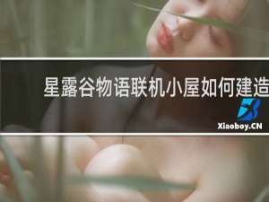 星露谷物语联机小屋如何建造