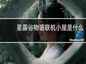 星露谷物语联机小屋是什么