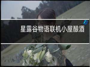 星露谷物语联机小屋酿酒