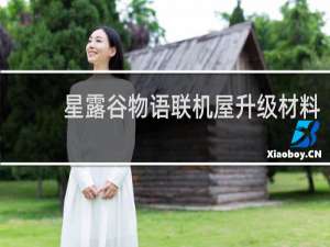 星露谷物语联机屋升级材料