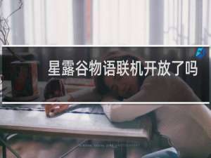 星露谷物语联机开放了吗