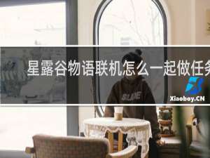 星露谷物语联机怎么一起做任务