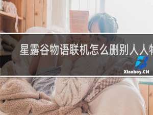 星露谷物语联机怎么删别人人物