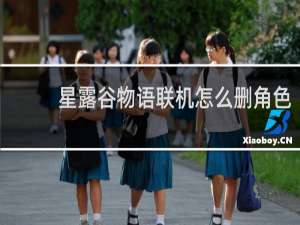 星露谷物语联机怎么删角色