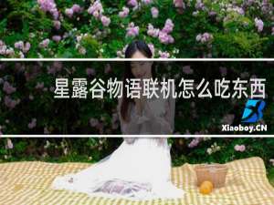 星露谷物语联机怎么吃东西