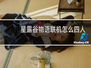 星露谷物语联机怎么四人