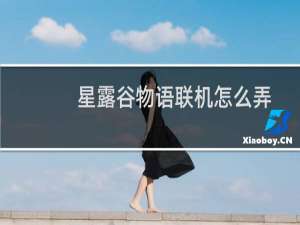 星露谷物语联机怎么弄