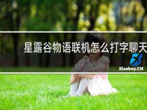 星露谷物语联机怎么打字聊天
