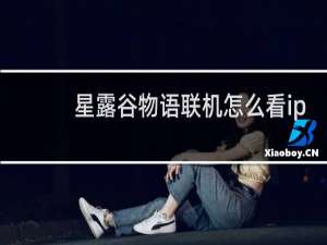 星露谷物语联机怎么看ip