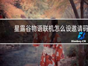 星露谷物语联机怎么设邀请码