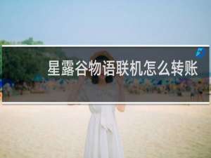 星露谷物语联机怎么转账